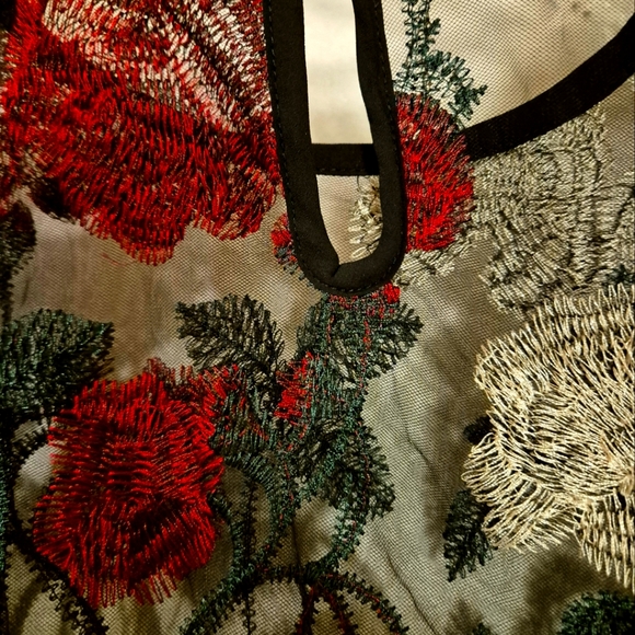 Ladies  beautiful  sheer blouse - Picture 2 of 5